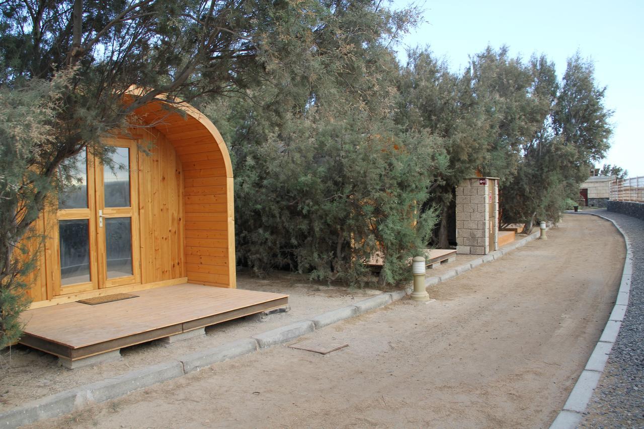 Eco-Wooden Houses Camping Montana Roja El Medano  Exterior photo